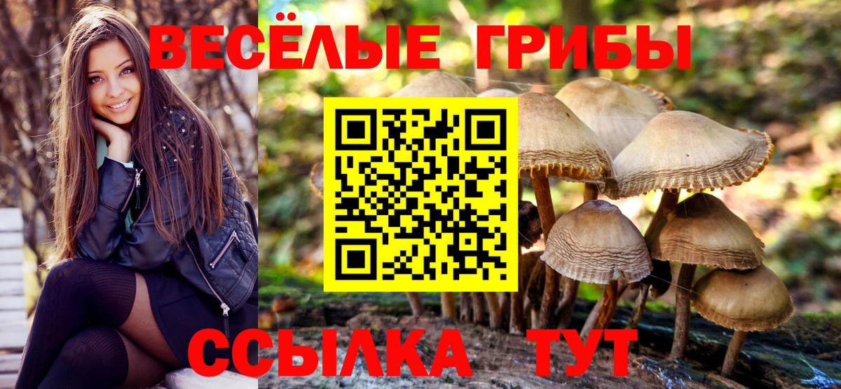 Приморско-Ахтарск  Галлюциногенные грибы мицелий  Вход с VPN  Галлюциногенные грибы прущие грибы 